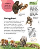 Детёныши животных — фото, картинка — 23