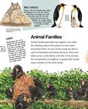 Детёныши животных — фото, картинка — 24