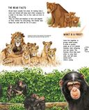 Детёныши животных — фото, картинка — 25