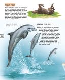 Детёныши животных — фото, картинка — 26