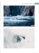 Россия, которая удивляет! Путешествие по бескрайним просторам страны в снимках Павла Матвеева — фото, картинка — 15