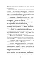 Ловец разбитых отражений — фото, картинка — 12