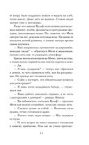 Ловец разбитых отражений — фото, картинка — 13