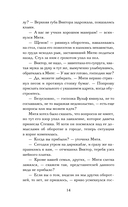 Ловец разбитых отражений — фото, картинка — 14