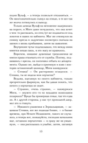 Ловец разбитых отражений — фото, картинка — 15