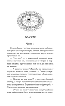 Ловец разбитых отражений — фото, картинка — 5