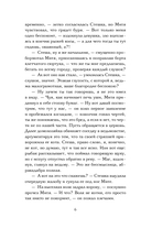 Ловец разбитых отражений — фото, картинка — 6