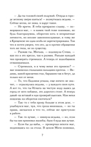 Ловец разбитых отражений — фото, картинка — 7