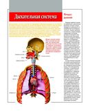 Анатомический атлас. Основы строения и физиологии человека — фото, картинка — 3