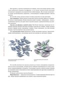 Рыбалка. Полная энциклопедия рыбной ловли — фото, картинка — 24