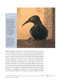 Ворон. Культурная история — фото, картинка — 10