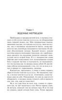 Футбол 1860 года. Объяли меня воды до души моей... — фото, картинка — 5