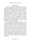 Энциклопедия садовода. Плодовые деревья и кустарники — фото, картинка — 12