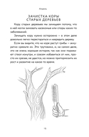 Энциклопедия садовода. Плодовые деревья и кустарники — фото, картинка — 13