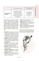 Растения любви — фото, картинка — 15