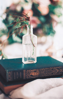 Растения любви — фото, картинка — 10