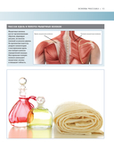 Анатомия массажа. Основы массажа нижней и верхней части тела с анатомическими иллюстрациями — фото, картинка — 12