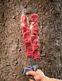 Мясо на мангале, гриле, в тандыре и казане — фото, картинка — 20