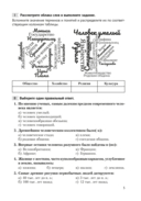 История Древнего мира и Средних веков. 5-6 классы. Сборник тематических заданий — фото, картинка — 6