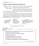 Head First. Архитектура ПО — фото, картинка — 10