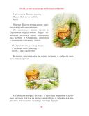 Зимняя книга кролика Питера — фото, картинка — 11