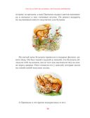 Зимняя книга кролика Питера — фото, картинка — 14