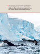 Антарктида. История изучения ледяного континента — фото, картинка — 5