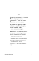 Надпись на камне — фото, картинка — 5