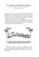 Респираторная поддержка как по нотам. С точки зрения физиологии пациента и доказательной медицины — фото, картинка — 19