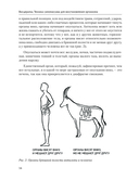 Висцералка — фото, картинка — 17