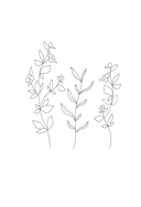 Два спутника планеты Ксюша — фото, картинка — 2