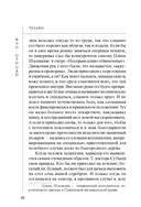 Чудаки. Книга для чтения на китайском языке с переводом — фото, картинка — 15