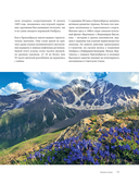 Сердце Кавказа. Жизнь, культура и традиции Северного Кавказа — фото, картинка — 12