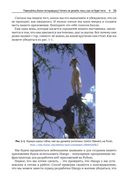 Python. Разработка на основе тестирования — фото, картинка — 31