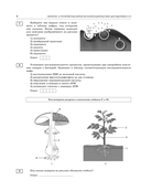 ЕГЭ-2025. Биология. 10 экзаменационных вариантов для подготовки к единому государственному экзамену — фото, картинка — 8