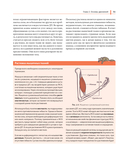 Анатомия йоги простыми словами: Иллюстрированное пособие по упражнениям и асанам — фото, картинка — 3