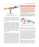 Анатомия йоги простыми словами: Иллюстрированное пособие по упражнениям и асанам — фото, картинка — 7