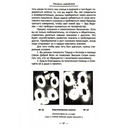 Увидеть невидимое. Ангелы вокруг нас — фото, картинка — 2