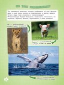 Самые милые животные. Большая энциклопедия для маленьких — фото, картинка — 6