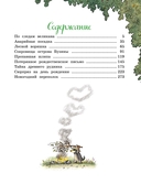 Большая книга Волшебного леса. Все приключения в одном томе с цветными иллюстрациями — фото, картинка — 7