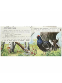 Кот — фото, картинка — 3