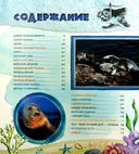 Тюлень Ластик и его друзья — фото, картинка — 4