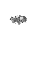 Вампиры, их сердца и другие мёртвые вещи — фото, картинка — 1