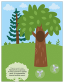 В лесу — фото, картинка — 3