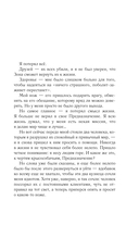 Закон контролёра — фото, картинка — 7