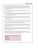 Атлас анатомии человека. Нервная система — фото, картинка — 5