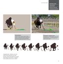 Лови момент! Как найти 