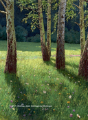 Стихи о женщинах — фото, картинка — 5