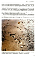 Волчьими тропами. Лесная быль — фото, картинка — 14