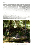 Волчьими тропами. Лесная быль — фото, картинка — 7